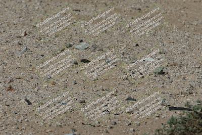 media/Oct-13-2025-Moto Forza (Mon) [[a66d839500]]/4-C Group/Session 3 (Turn 16)/